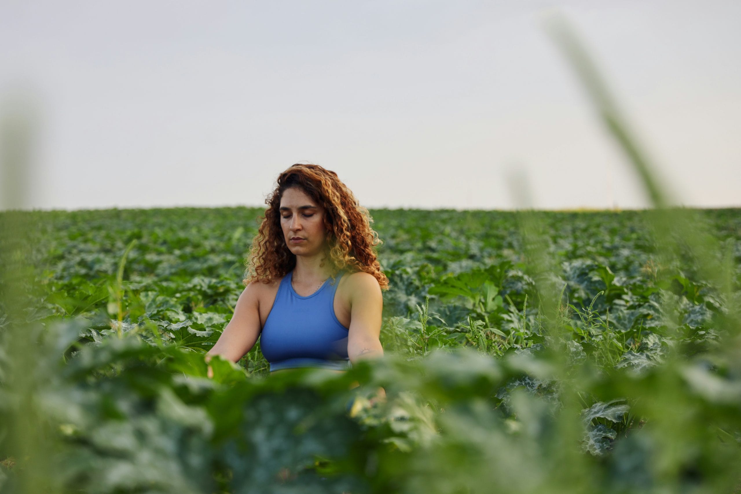 Mindfulness vergoeding