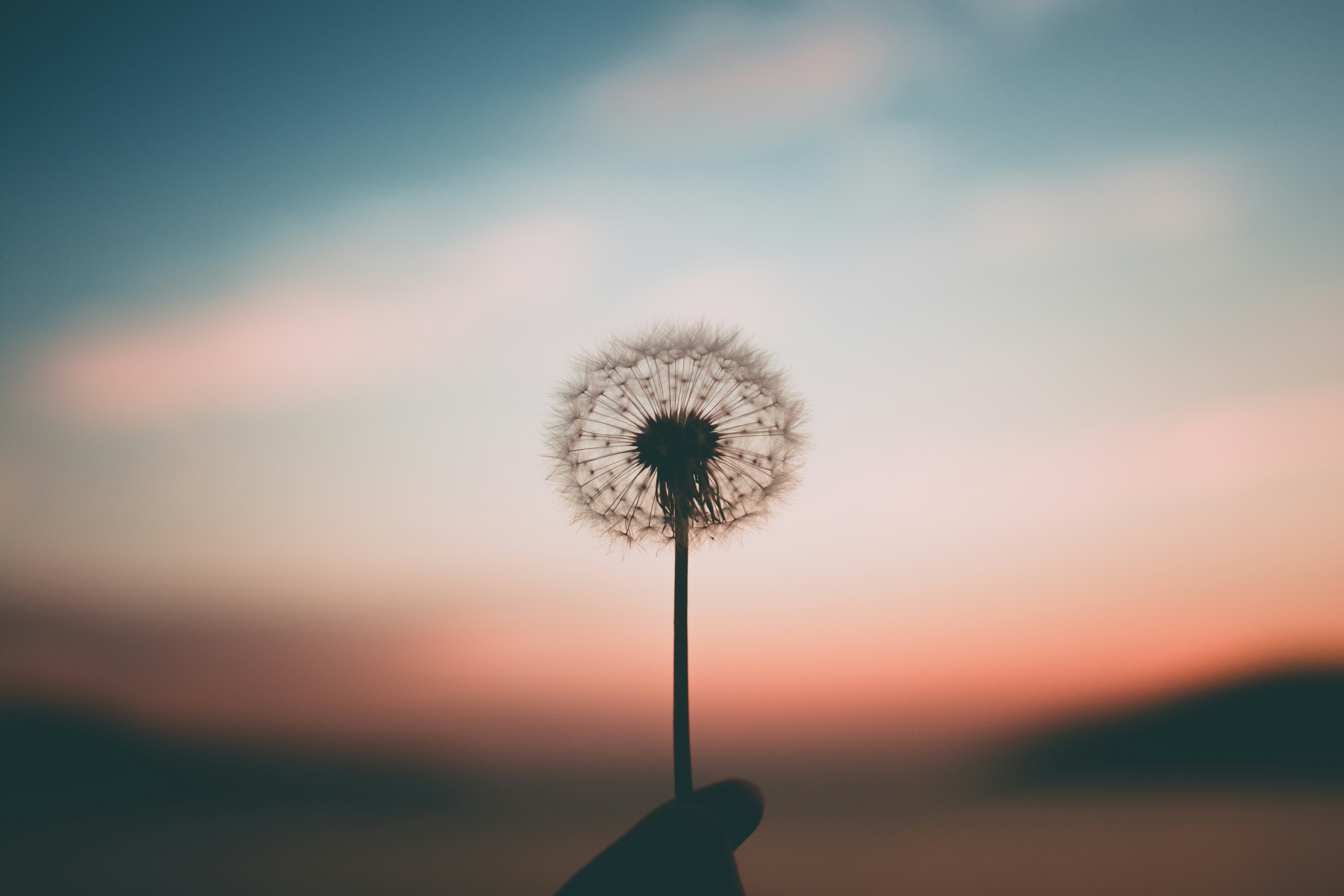 Vergoeding holistisch energetische therapie